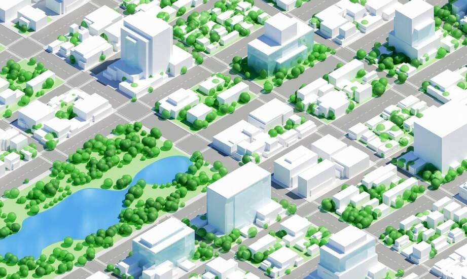 Znaczenie operatu dendrologicznego dla zrównoważonego rozwoju miast