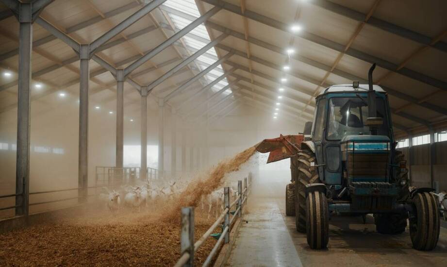 Jak alarmy w systemach wentylacyjnych zwiększają bezpieczeństwo hodowli?