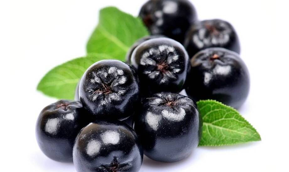 Odkryj tajemnice aronii liofilizowanej jako superfood w codziennej diecie