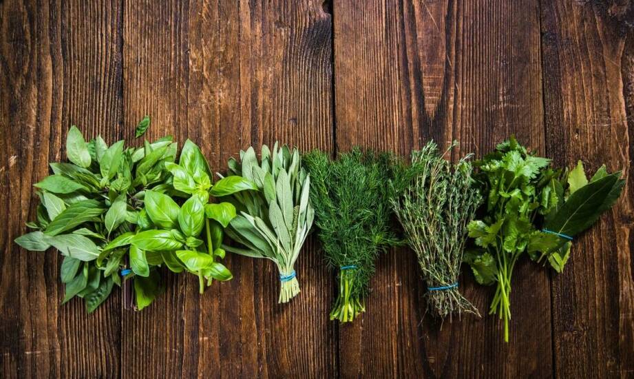 Liście laurowe a inne naturalne metody łagodzenia bólu stawów