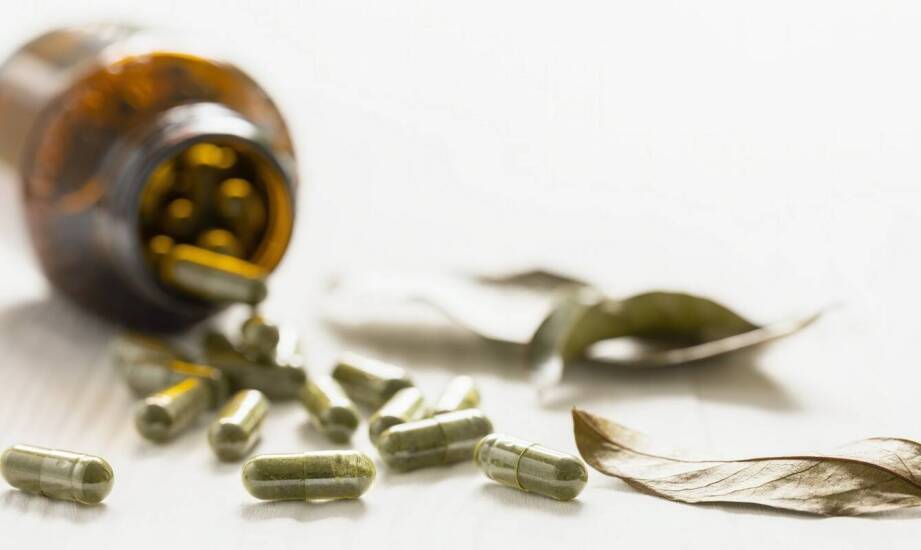 Żywica Croton lechleri jako składnik suplementów diety