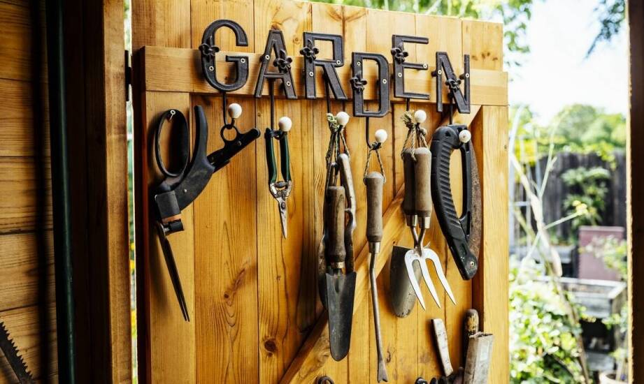 Ekspert radzi: jak projektować tereny zielone z pomocą centrum ogrodniczego?