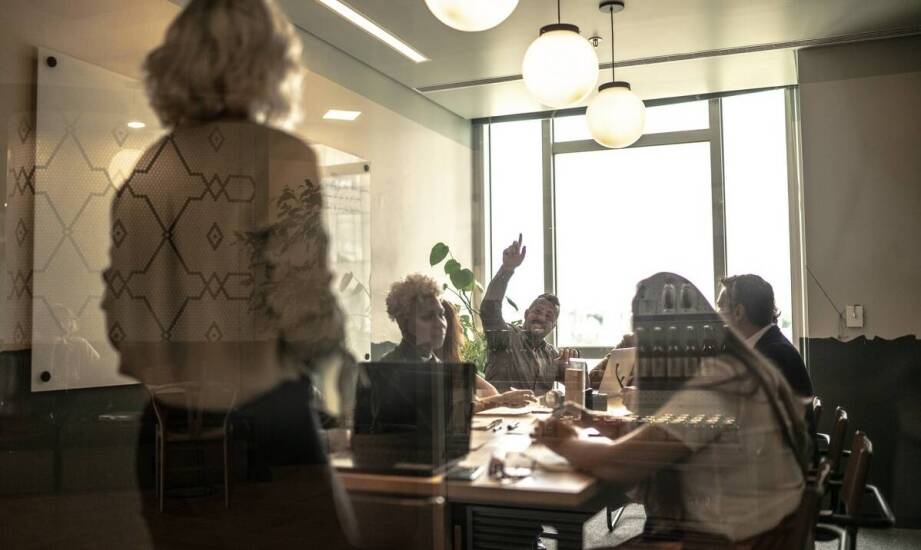 Praca przy pieczarkach w Holandii: jakie są możliwości rozwoju zawodowego?