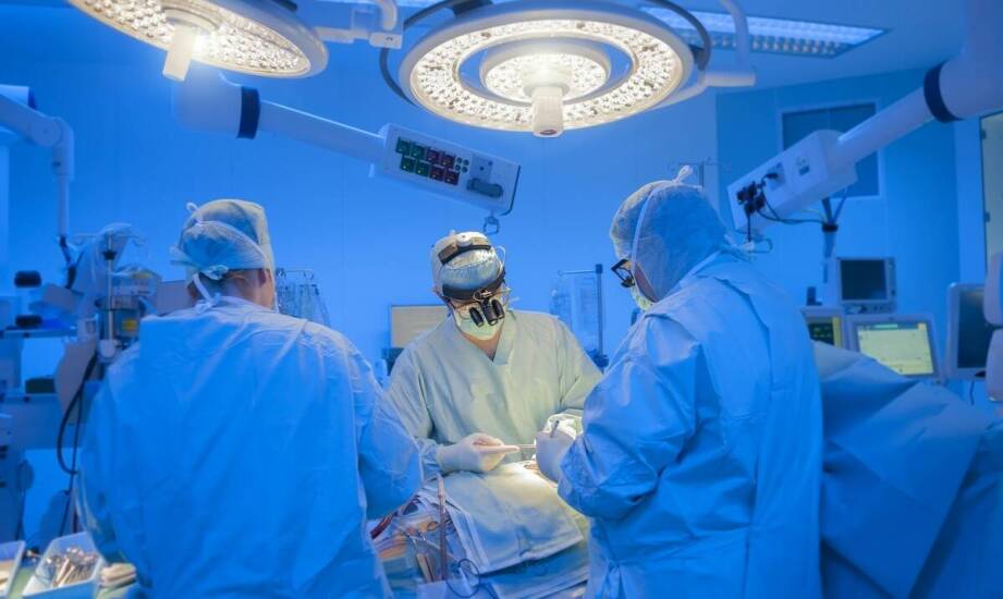 Jak narkoza wziewna zwiększa bezpieczeństwo operacji u zwierząt?