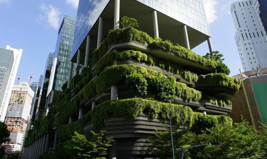 Praktyczne korzyści ze stosowania siatki leśnej 180 na terenach chronionych