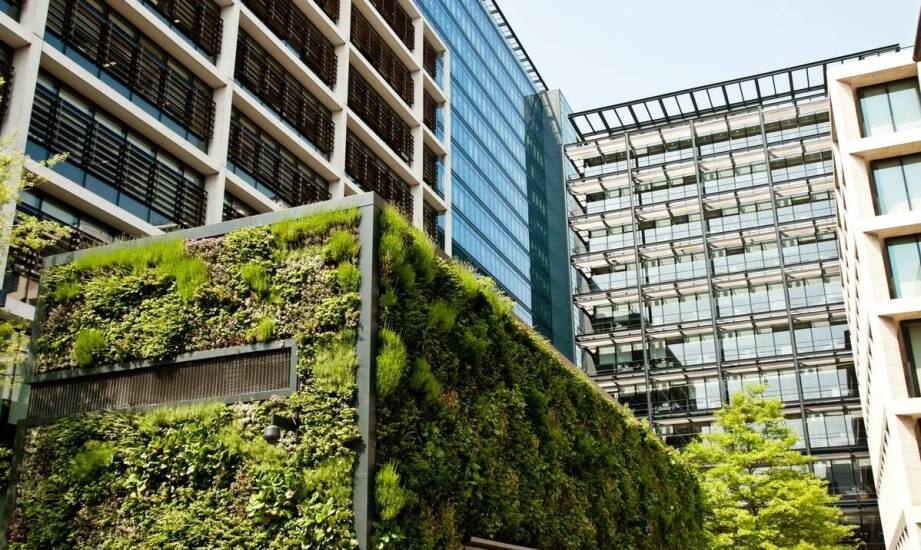 Różnorodność biologiczna na dachach zielonych: jak ją zwiększyć?