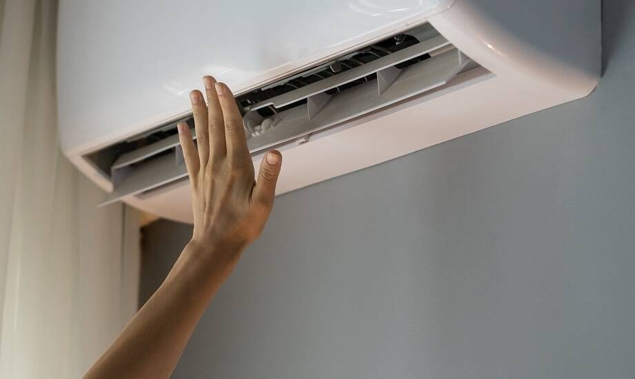 Rola odgrzybiania w zapewnieniu świeżości powietrza wewnętrznego