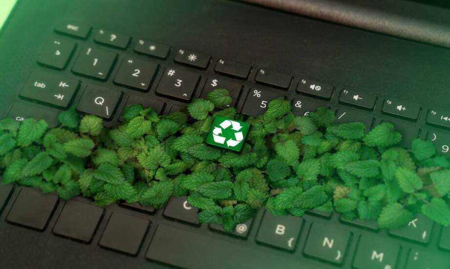 Odbiór AGD i RTV we Wrocławiu – jak działa proces odbioru urządzeń?