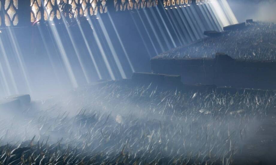 Ekonomiczne ściółki dla koni – jakie mają zalety ekologiczne?