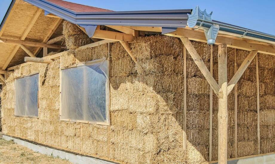 Ekonomiczne ściółki dla koni a poprawa warunków zdrowotnych zwierząt