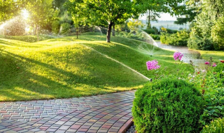 Jak nawadnianie automatyczne wpływa na zdrowie i wzrost roślin?