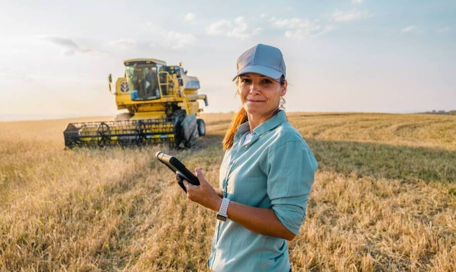 Skup rzepaku - jak zapewnić najwyższą jakość ziarna?