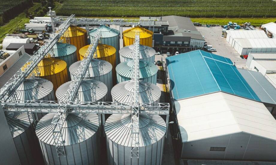 Innowacyjne podejścia do ekstruzji zbóż w produkcji rolnej