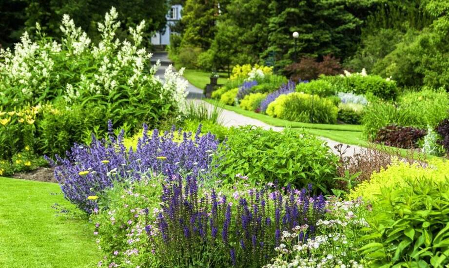 Rośliny ozdobne w ogrodzie – jak tworzymy harmonijne kompozycje?