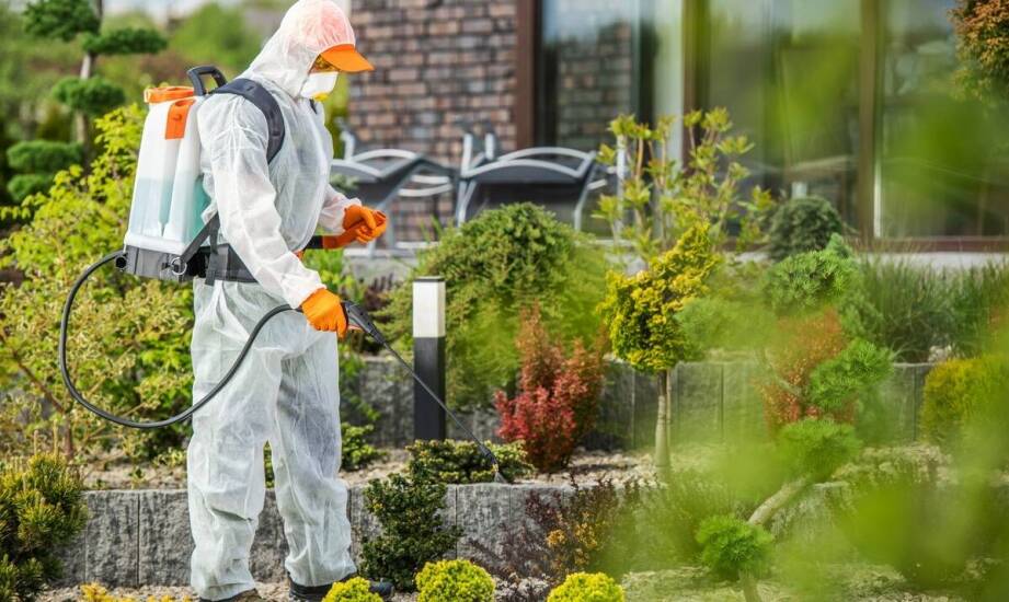 Opryski na komary – jak zapewniamy ich skuteczność i bezpieczeństwo?