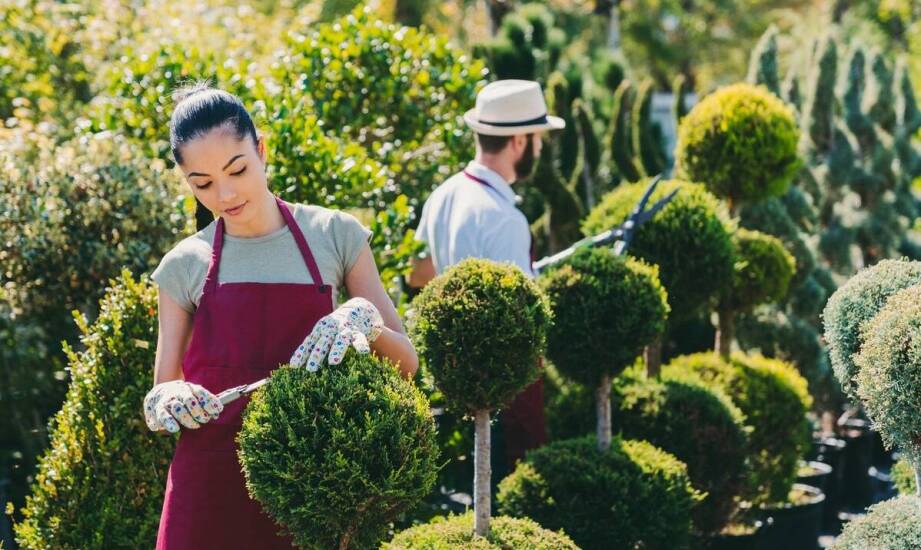 Rola profesjonalnej dezynsekcji w ochronie przed szkodnikami