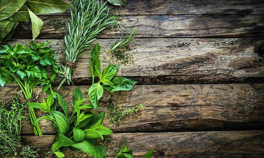 Zioła na odporność: Jakie produkty znajdziesz w zielarskim sklepie internetowym?