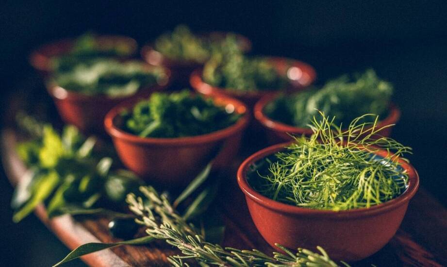 Zioła sklep internetowy: Wybór najlepszych herbat na odporność