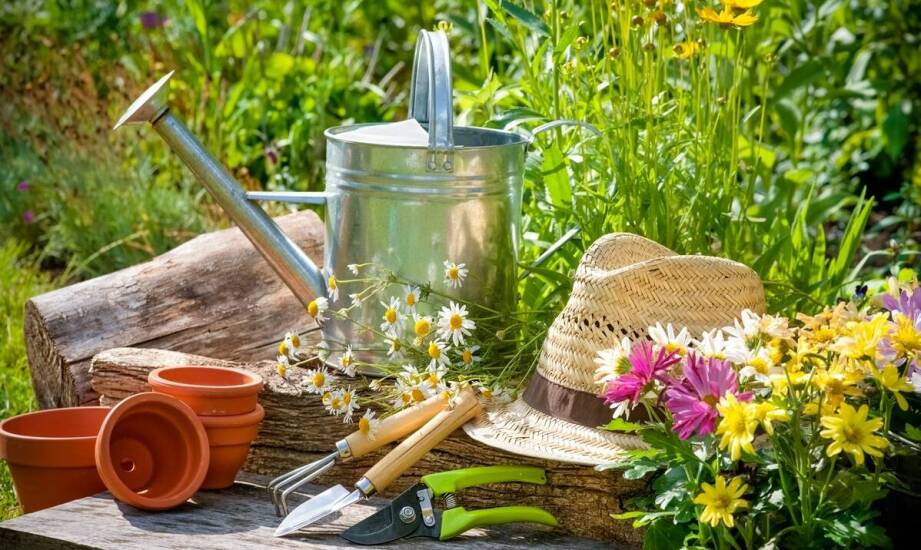 Jakie sekatory ogrodowe są najbardziej przyjazne dla środowiska?