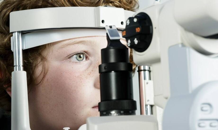 Jakie schorzenia można zdiagnozować podczas wizyty u okulisty prywatnie?