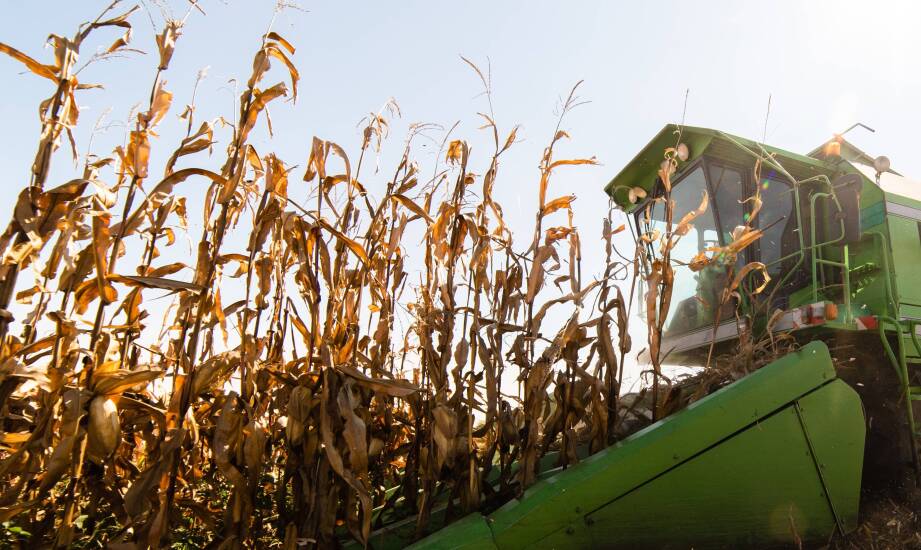 Aus welchen Elementen bestehen Maispflücker?