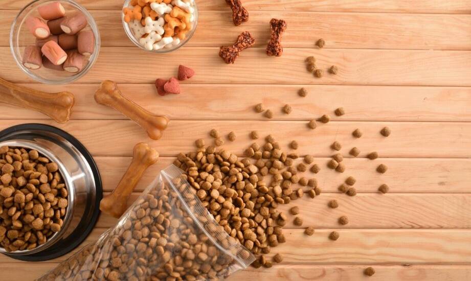 Znaczenie niskoglikemicznych składników w karmie orijen dla zdrowia psa