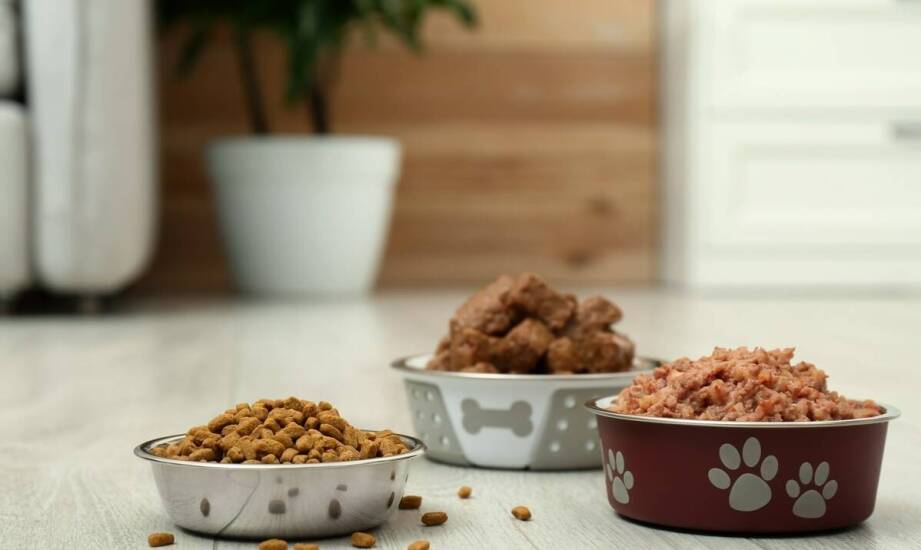 Korzyści z diety bogatej w naturalne składniki dla zdrowia młodych psów