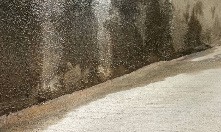 Dlaczego osuszanie budynków z wilgoci jest tak ważne dla zdrowia?