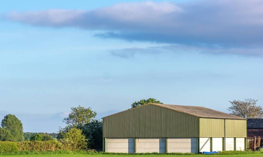 Elastyczność aranżacji wnętrza w hali łukowej dla bydła