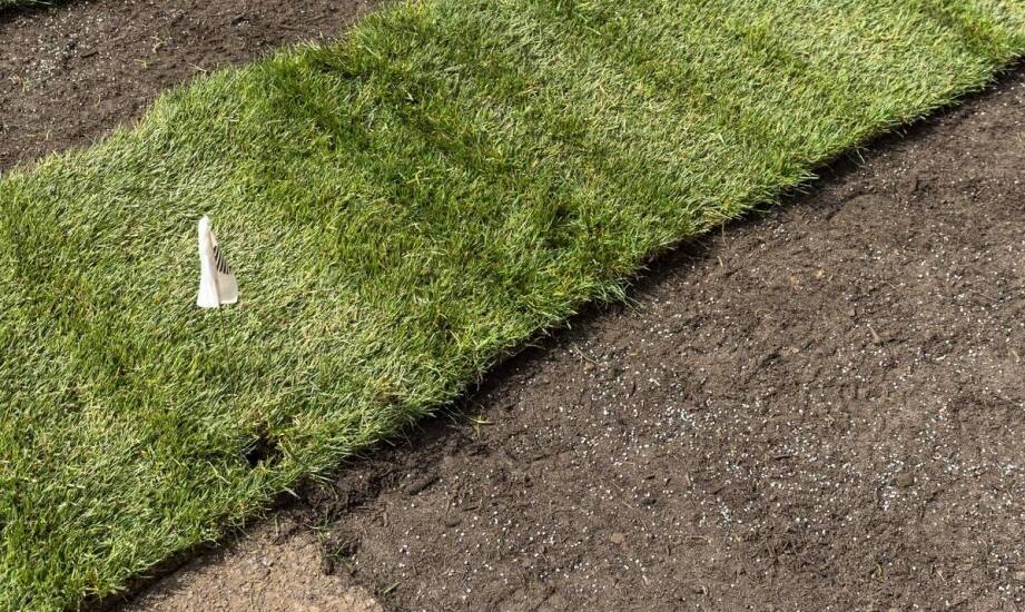 Proces instalacji trawy z rolki – co warto wiedzieć?