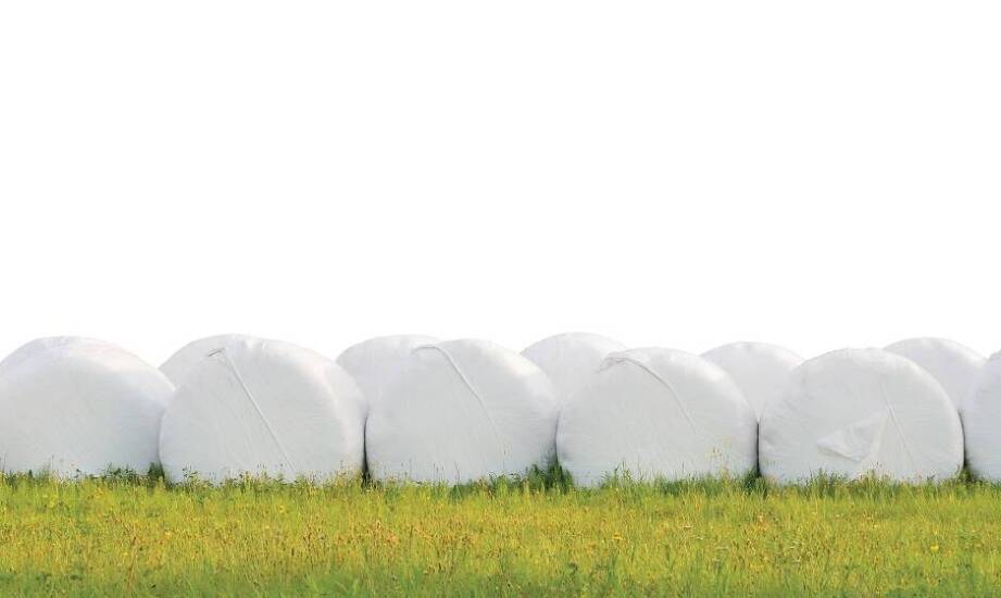 Jak dbać o jakość paszy dzięki odpowiedniej folii do sianokiszonki?