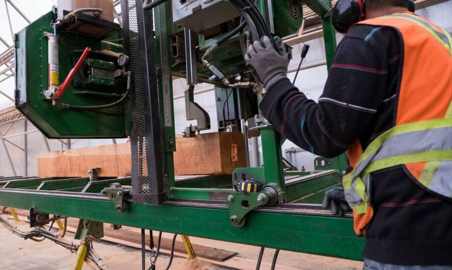 Rola wielopił do drewna w zrównoważonej gospodarce materiałowej