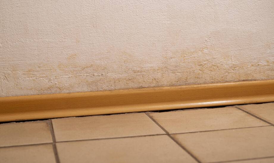 Osuszanie po zalaniu – kluczowe kroki dla ochrony budynku