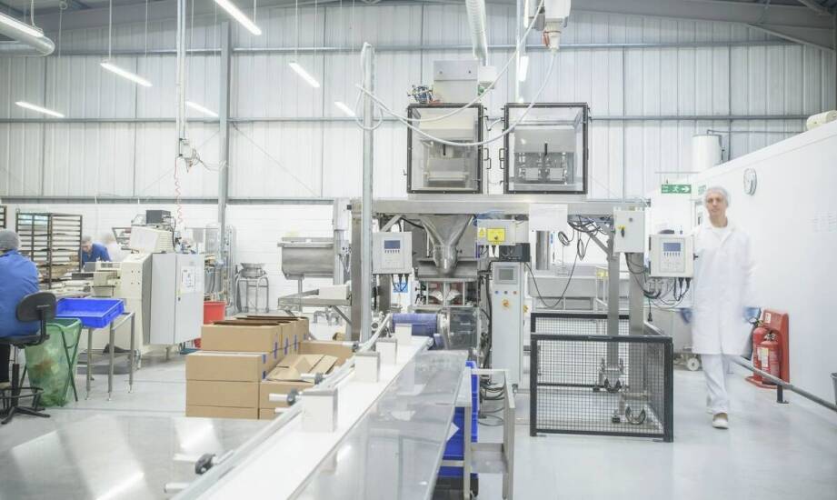 Jakie są kluczowe elementy utrzymania linii do regranulacji?