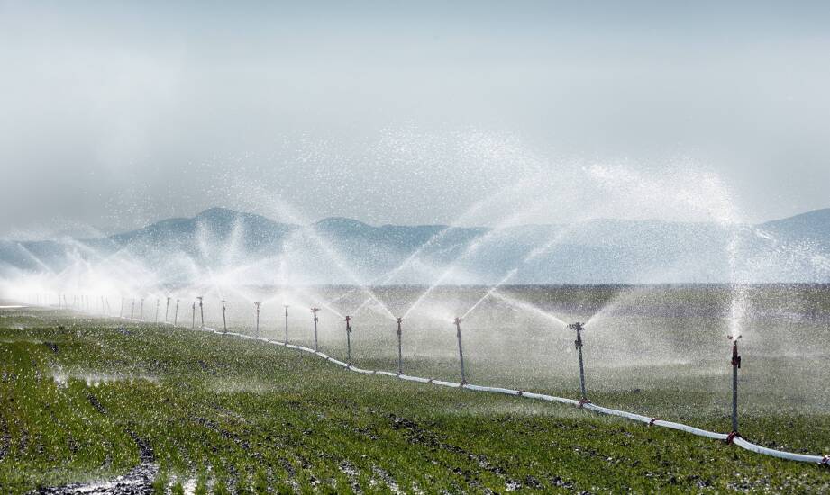 Jakie są najnowsze rozwiązania w dziedzinie automatycznego podlewania?