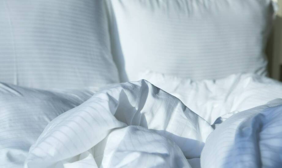 Wpływ pierza z gęsi siwych na trwałość i wytrzymałość kołder