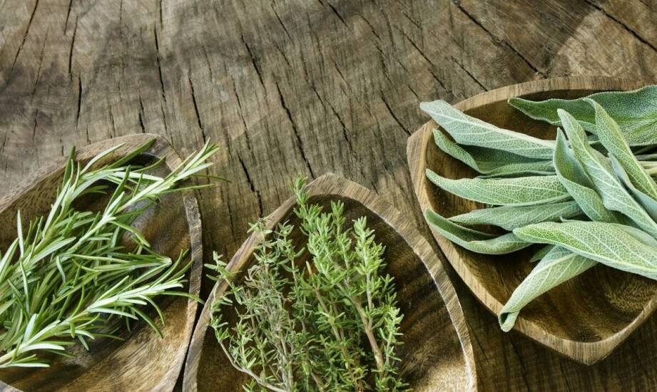 Jakie chipsy do wędzenia nadają się do różnych rodzajów mięs?