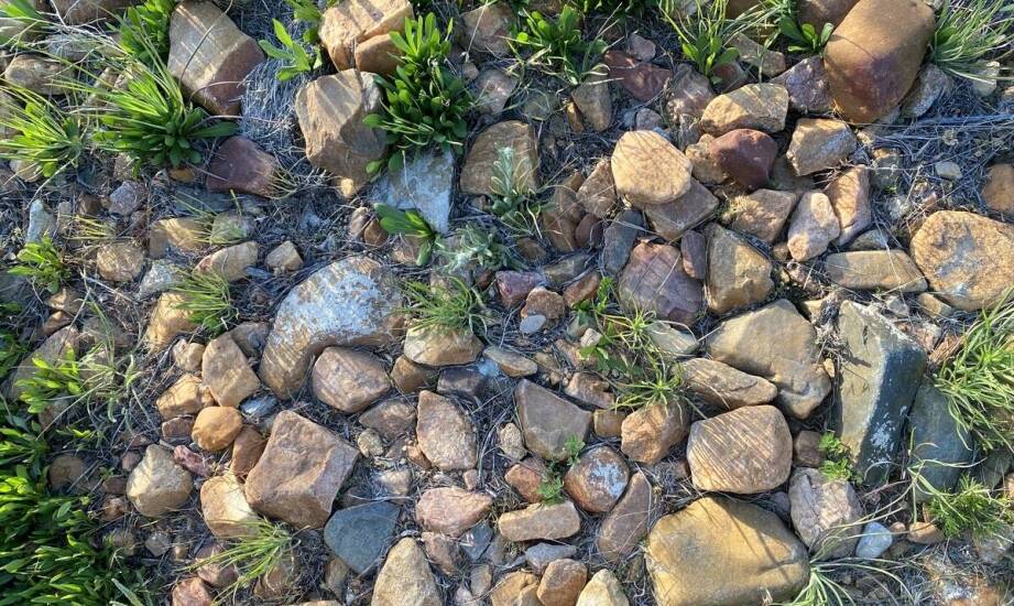 Kiedy konieczne jest przeprowadzenie badań zanieczyszczenia gruntu?