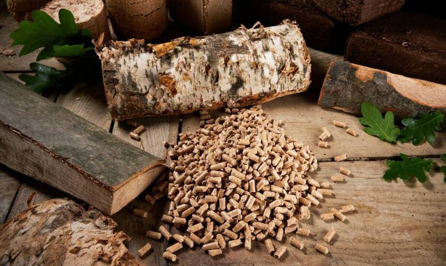 Jak wykwalifikowany personel pomaga w wyborze odpowiedniego opału?