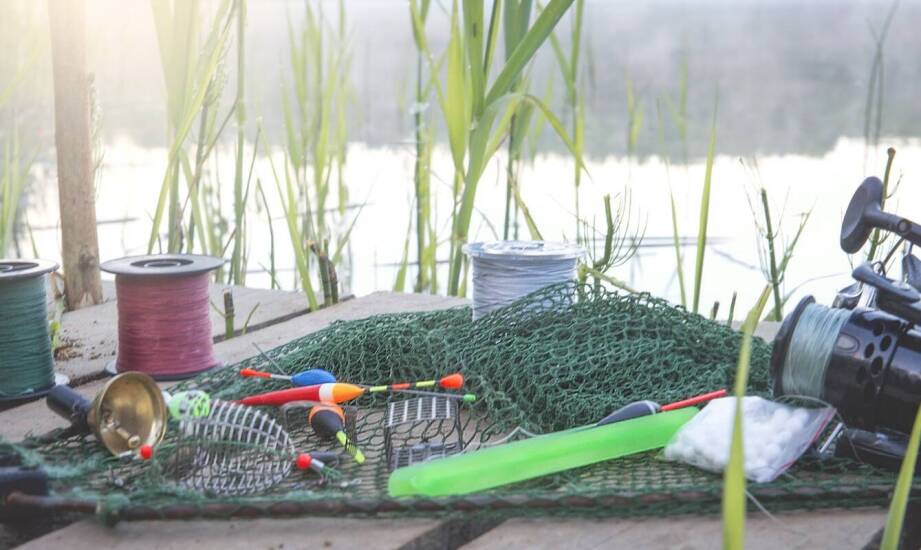 Żywołapka na wydrę – jak zapewnić skuteczne działanie pułapki?