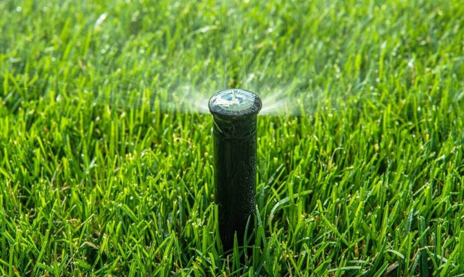 Zalety profesjonalnego montażu systemów zraszaczy