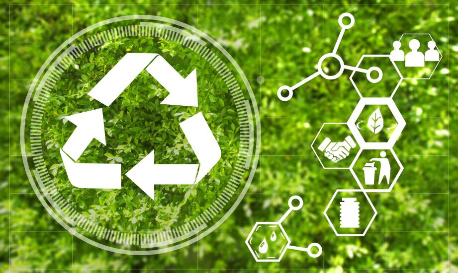 Innowacyjne podejścia do zarządzania odpadami zielonymi w mieście