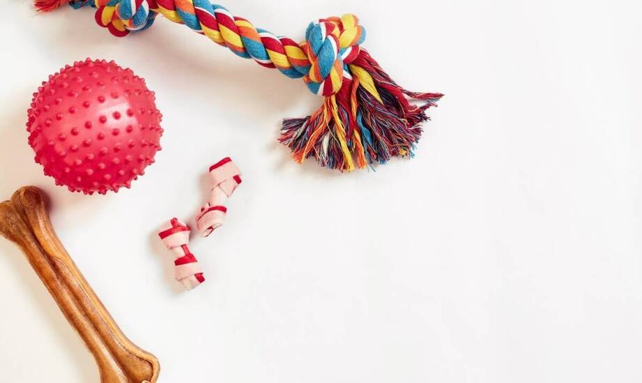 Przysmaki dla szczeniaka – jakie korzyści przynoszą w treningu?