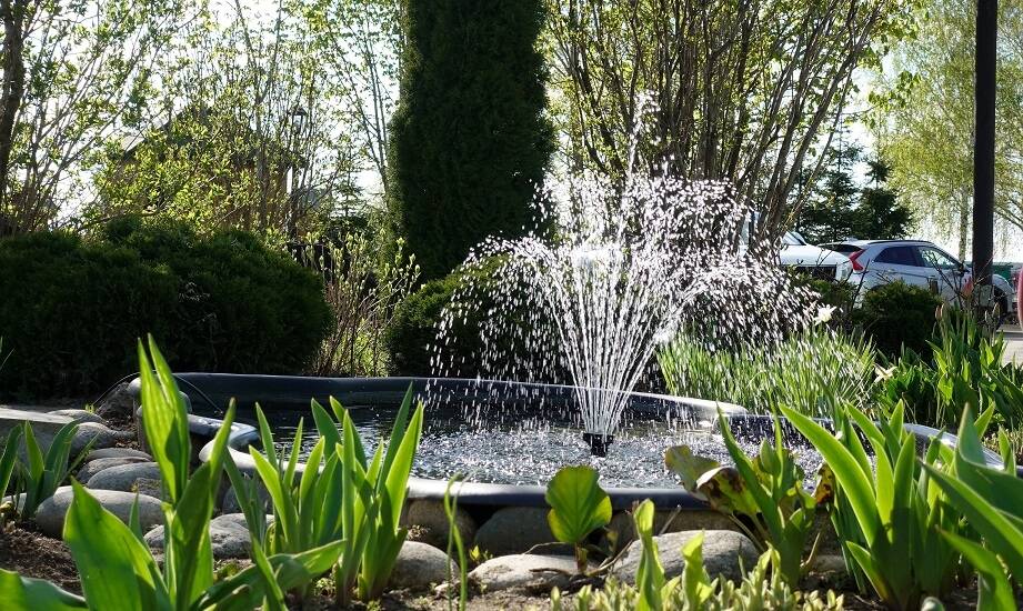 Fontanny przydomowe a ekologia – jak wpływają na środowisko ogrodowe?