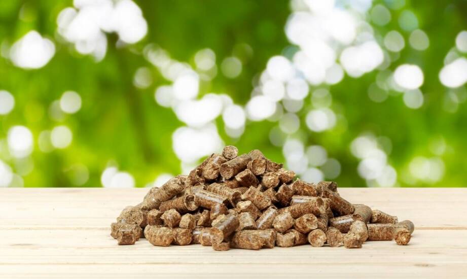 Najnowsze technologie w brykieciarkach do trocin – przegląd rynku