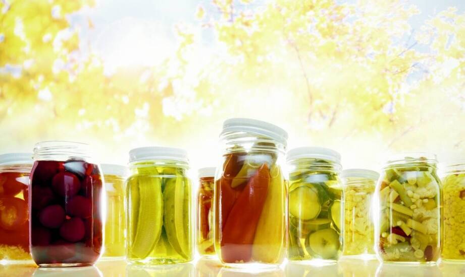 Kuvings Polska: Jakie są kluczowe korzyści zdrowotne z używania fermentatorów domowych