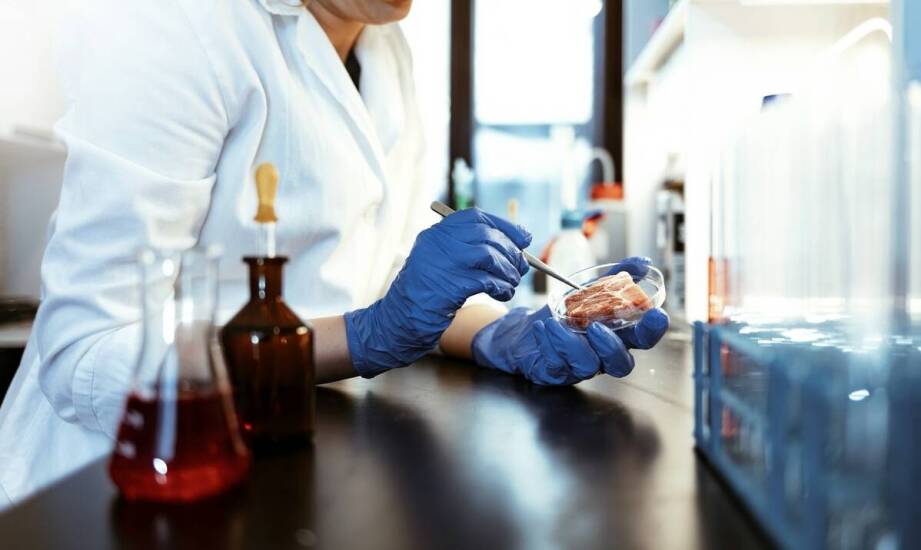 Jakie są możliwe metody leczenia po zdiagnozowaniu nietolerancji pokarmowej?