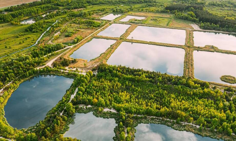 Wpływ operatu wodno-prawnego na efektywność zarządzania zasobami wodnymi