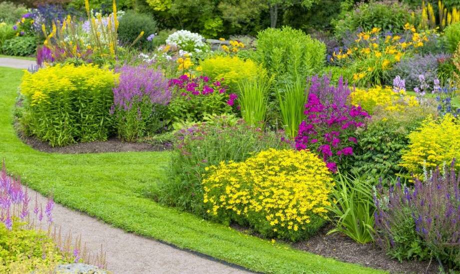 Różnorodność gatunkowa – jakie unikalne rośliny można znaleźć w naszym Centrum ogrodniczym?