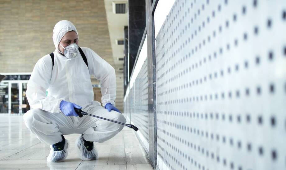 Jak fumigacja wspiera ochronę cennych zbiorów muzealnych przed szkodnikami?